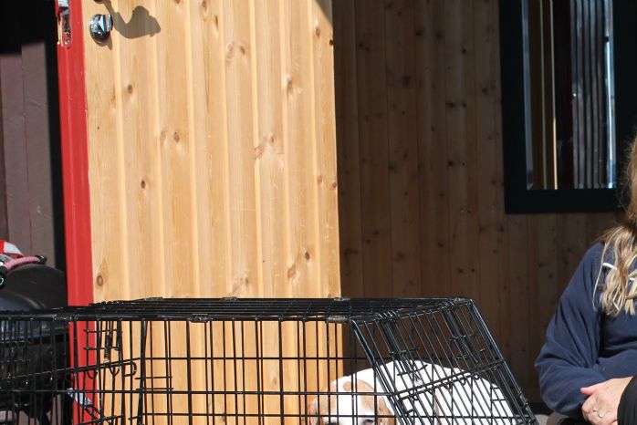Her er Ann-Karin med Junior, Foxy og Freia i sola på terrassen etter en fin dag i fjellet. Vi har skrevet litt om hver av hundene våre, bare å kikke!