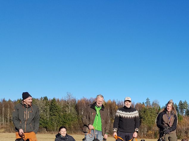 8 av 9 valper etter Boy og Ronja stilte med følge. Det ble dressurtrening, søk på jorde samt hund-sau aversjon på de som ville. Etterpå grilling og kake! Takk for frammøte og hyggelig samvær! Takk til May som bakte kake og Gunhild som hadde med konfekt.